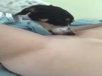 Jessica Monaco craving dog cock